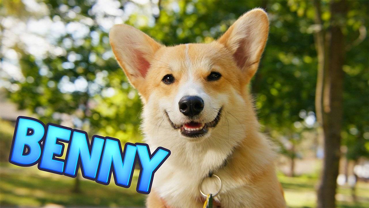 Smejko a Tanculienka - Benny
